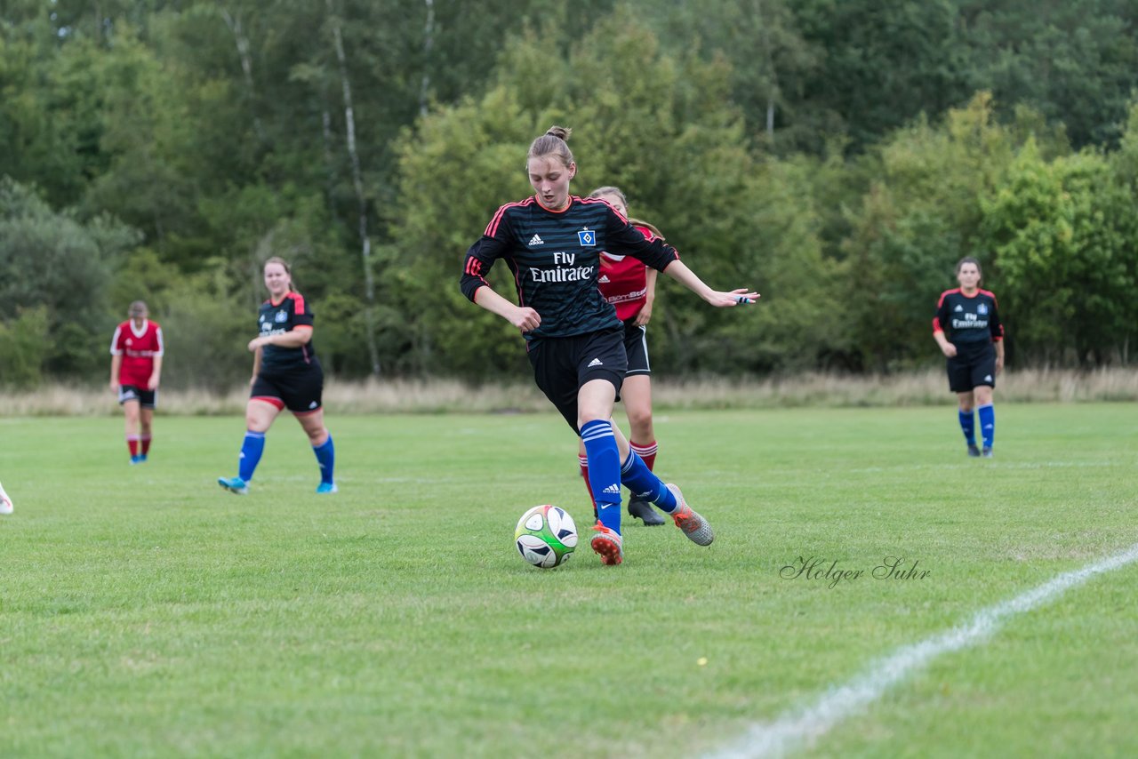 Bild 145 - Frauen SG NieBar - HSV 2 : Ergebnis: 4:3